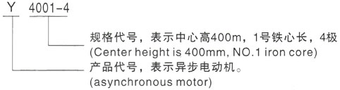 西安泰富西玛Y系列(H355-1000)高压YE5-4504-6三相异步电机型号说明